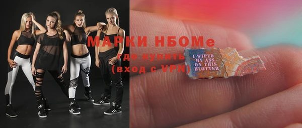 spice Каменка