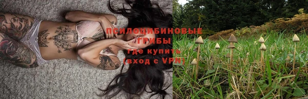 spice Каменка