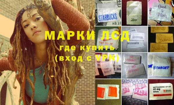 spice Каменка