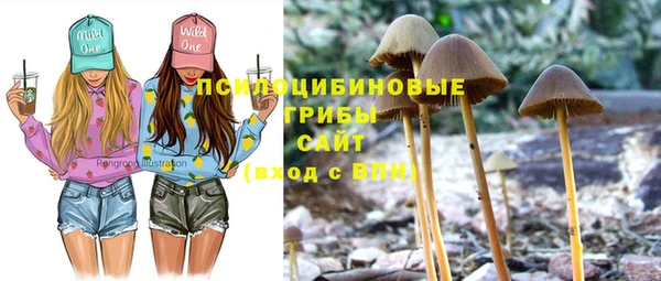 кокаин VHQ Каменногорск