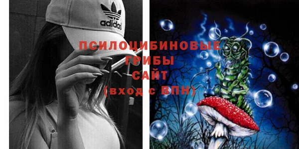 PSILOCYBIN Каменск-Шахтинский