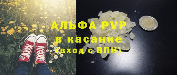 spice Каменка