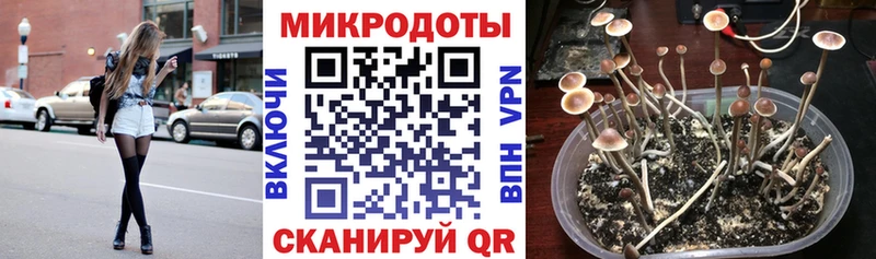 Галлюциногенные грибы прущие грибы  Купить где  Заозёрск 