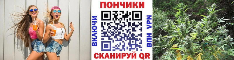 Купить  Заозёрск  Шишки марихуана тримм 